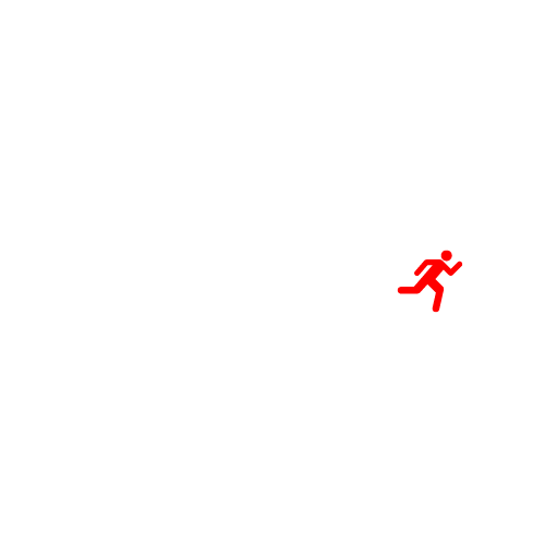 NetrIQ Logo